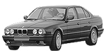 BMW E34 P1041 Fault Code